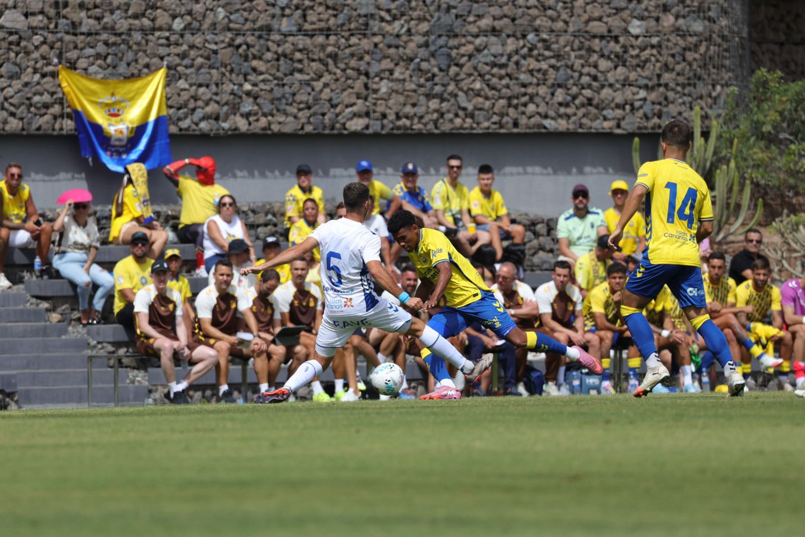 Pasión y rivalidad en el derbi canario: UD Las Palmas - CD Tenerife