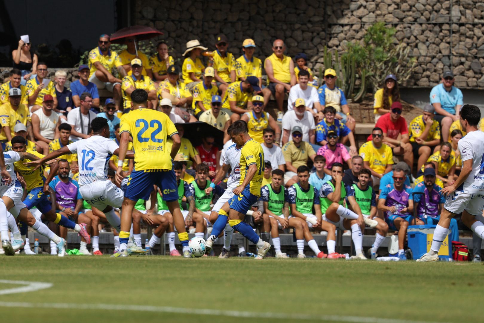 Pasión y rivalidad en el derbi canario: UD Las Palmas - CD Tenerife