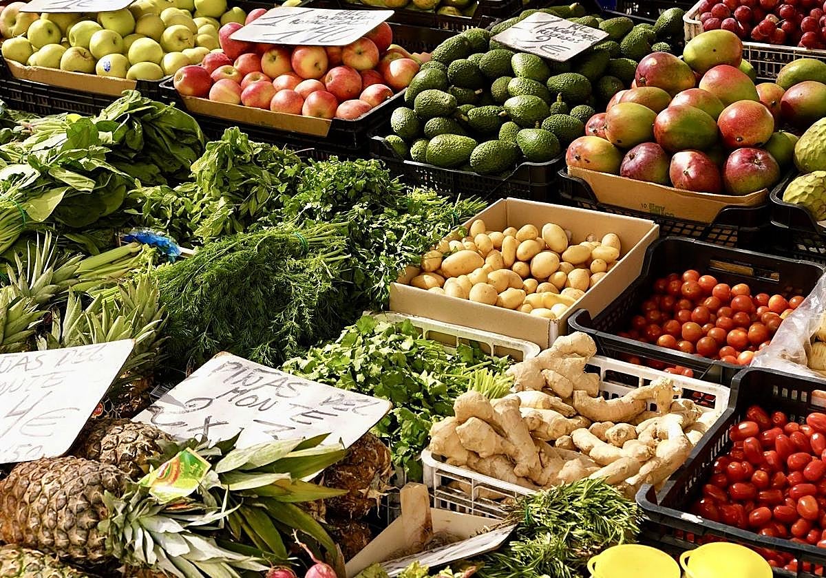 Carbohidratos complejos