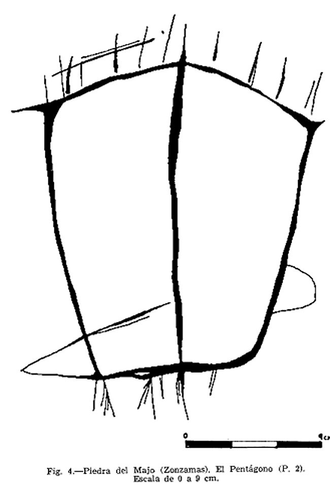 Calco del podomorfo.