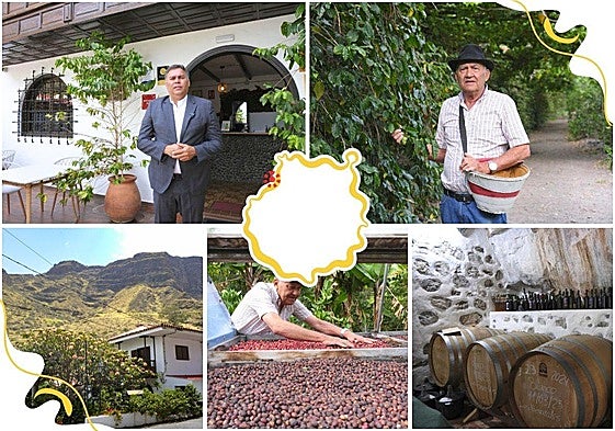 El Valle de Agaete visto desde la finca La Laja.