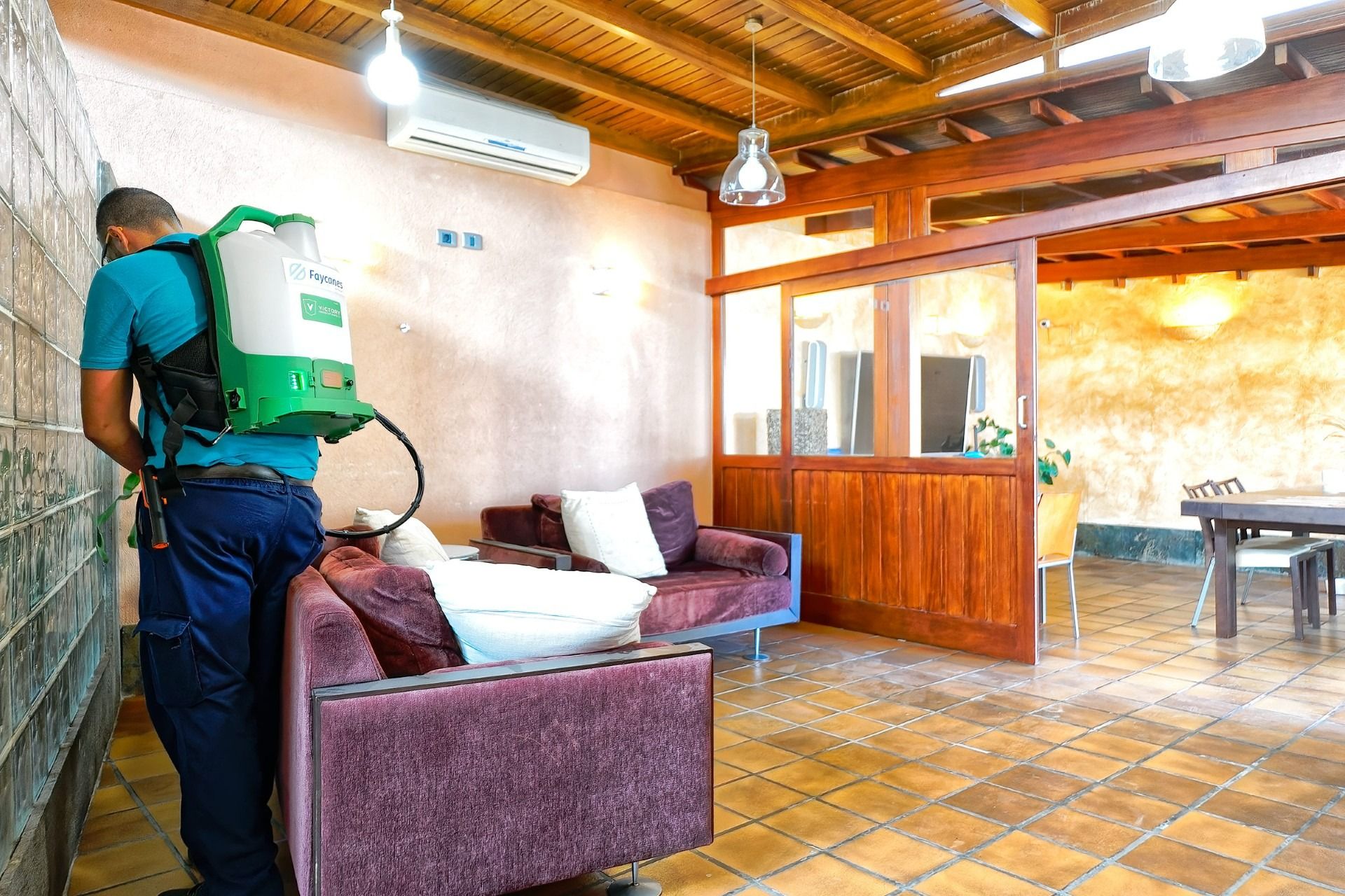 Plagas de verano en Las Palmas de Gran Canaria: «Llevo desde hace tres meses con cucarachas en casa»