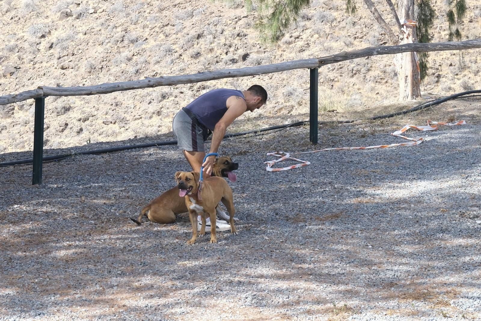 Visita por el Centro de Protección Animal de Santa Lucía de Tirajana