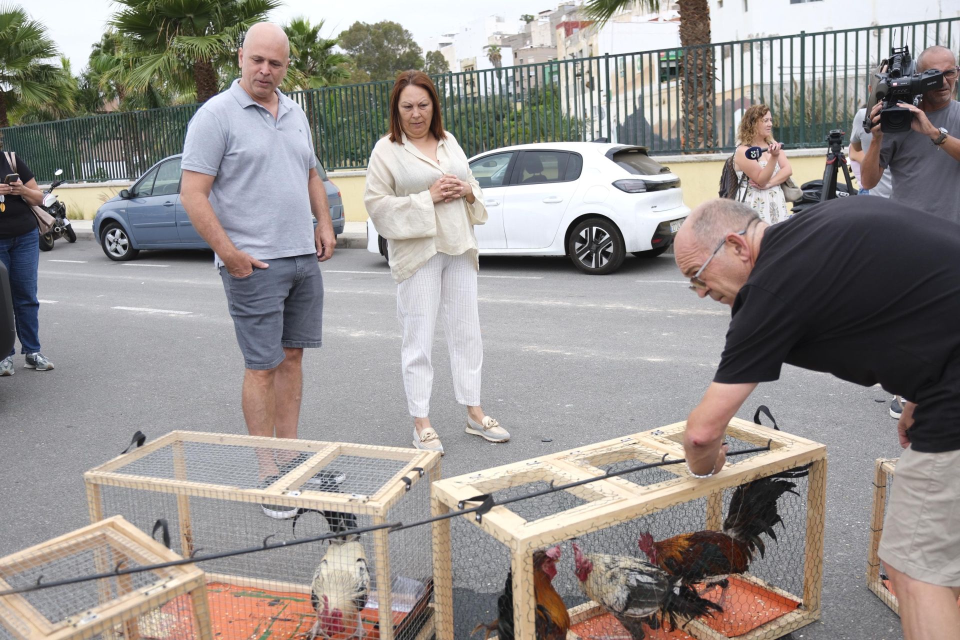 Así fue la retirada de gallos y gallinas de La Paterna