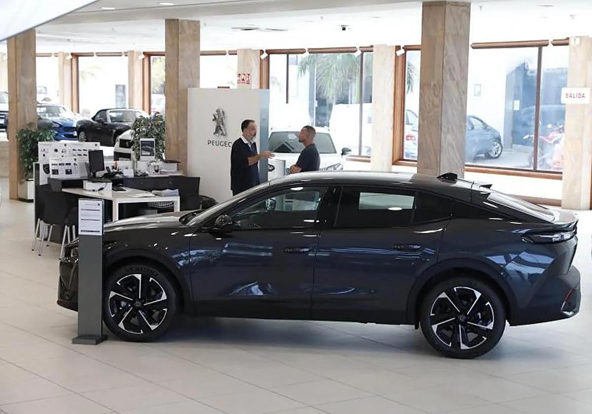 Concesionario en Playa Honda.