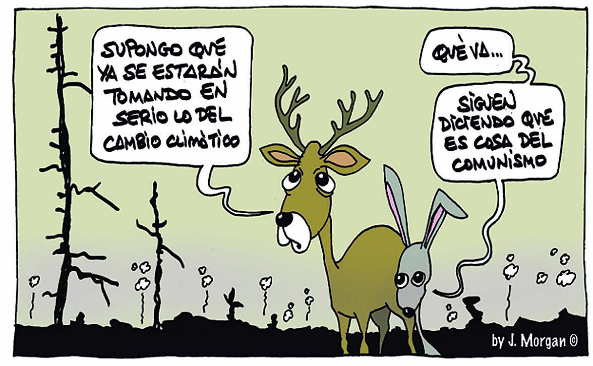 La viñeta de Morgan de este sábado 16 de agosto