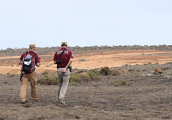 Labores de vigilancia.