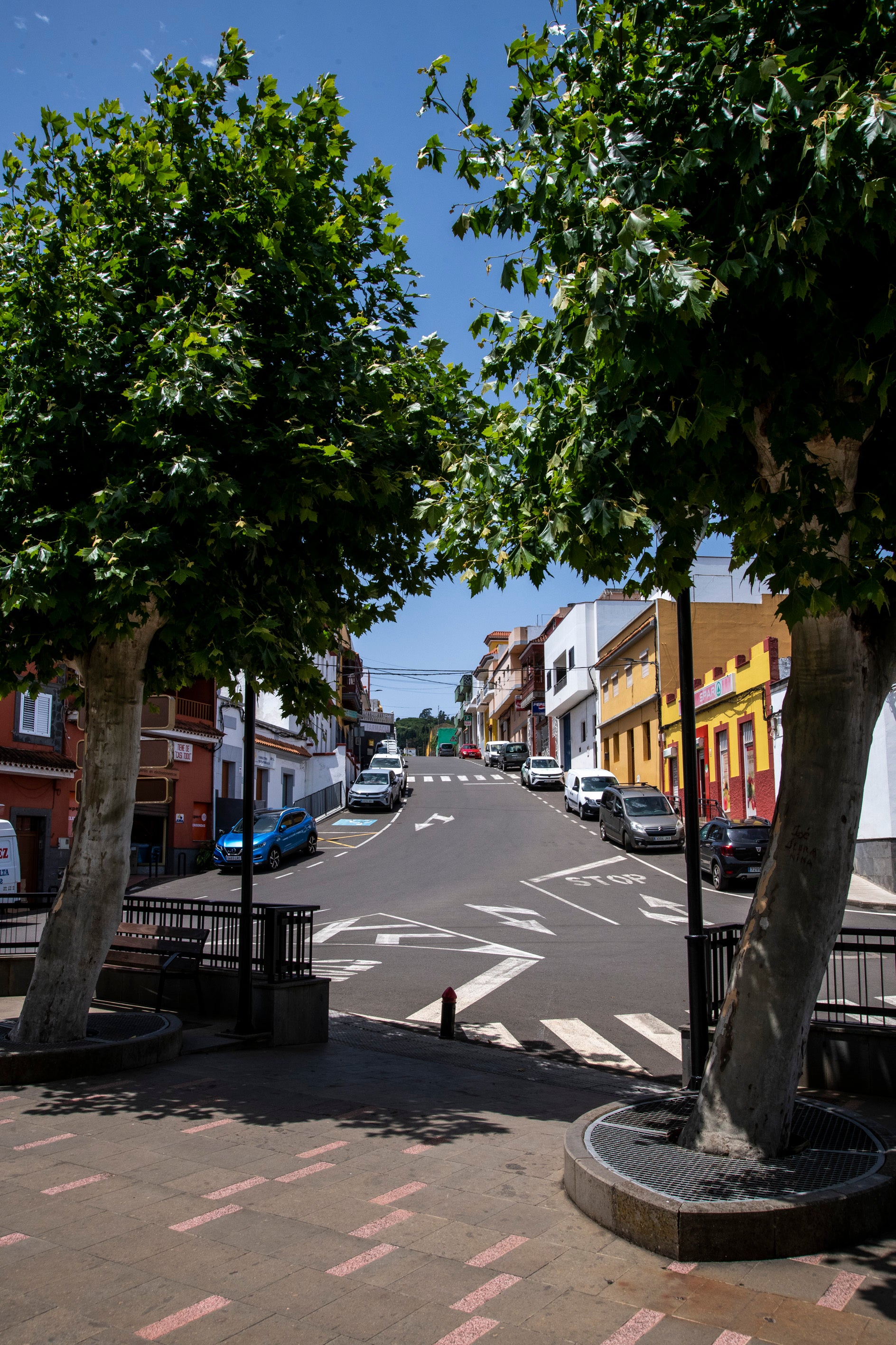 Imagen secundaria 2 - Montaña Alta, donde el queso florece y las tradiciones perduran