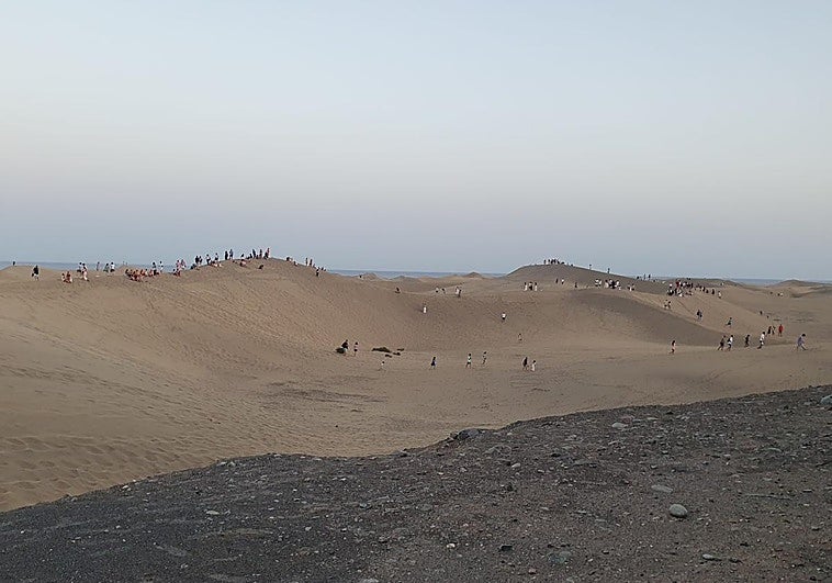 Cientos de turistas buscan fotografiarse entre las Dunas de Maspalomas pese a las prohibiciones.