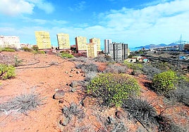 Imagen de la zona en la que se va a actuar.