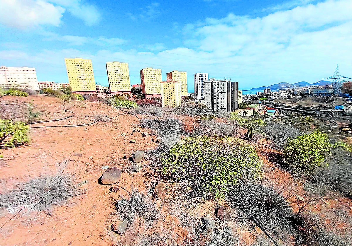 Imagen de la zona en la que se va a actuar.