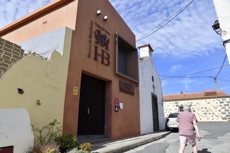 Los derechos hereditarios de Sixto Delgado sobre la Bodega Hoyos de Bandama están en subasta.