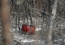 Incendios y cambio climático