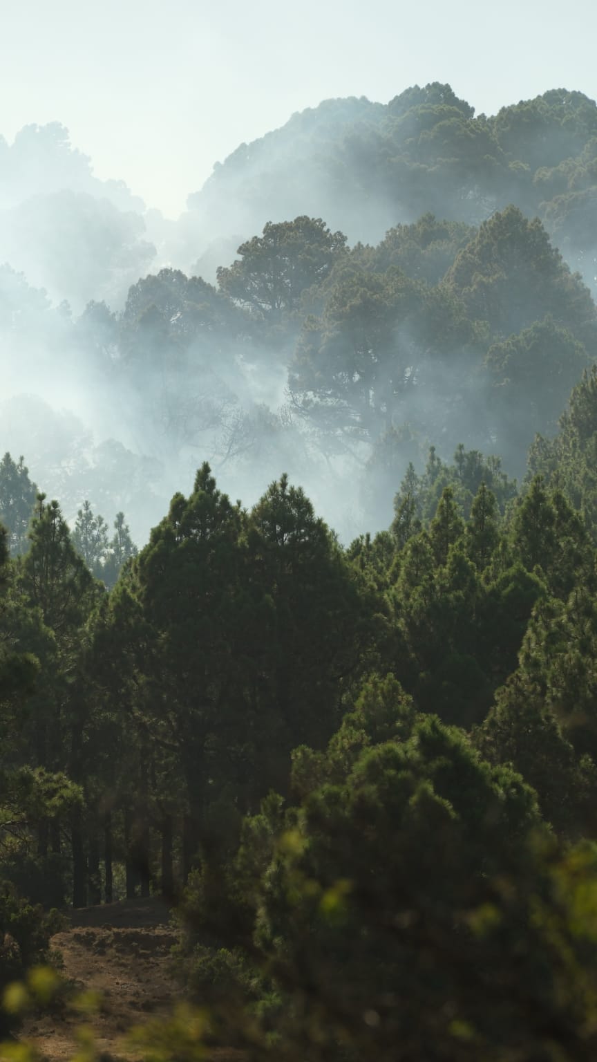 Las imágenes del incendio en El Hierro