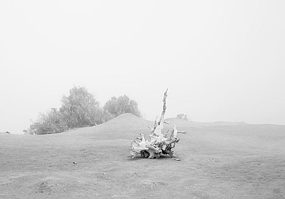 Una de las fotografías de Teresa Correa, presente en 'Brisas del Atlántico'.