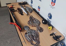 Imágenes de las armas y capturas requisadas por la Policía Local de Telde.