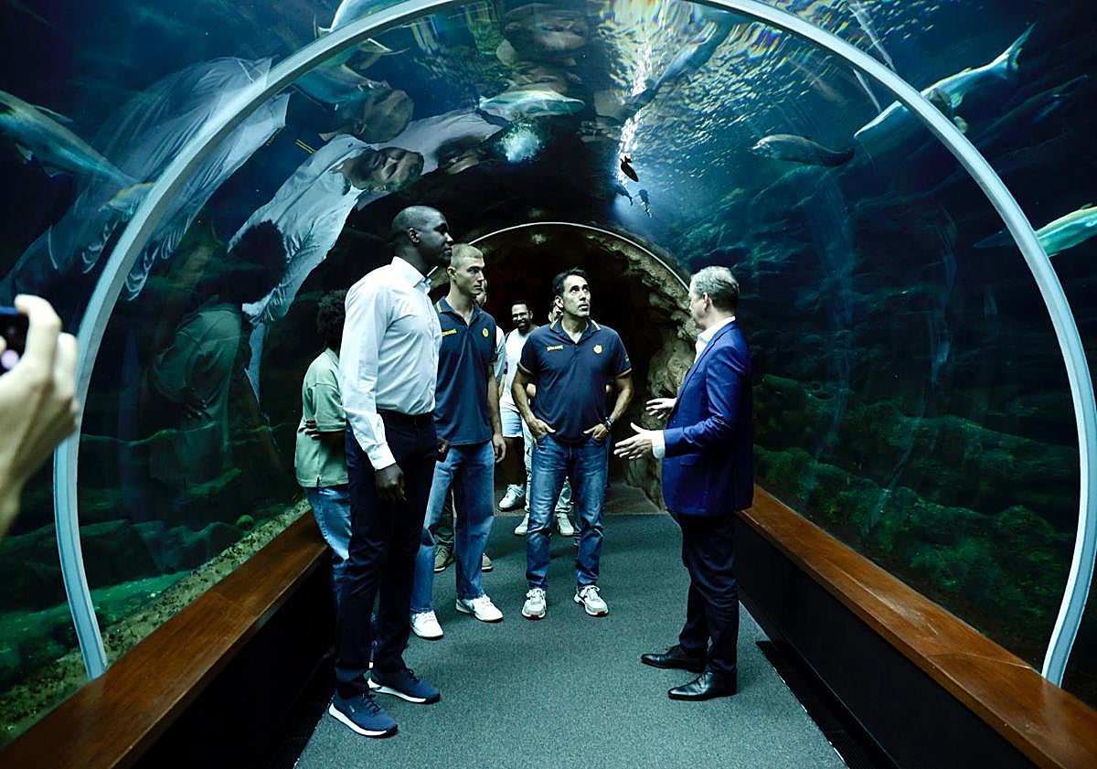 Imagen principal - Samar aprovechó su presentación para realizar un recorrido por las instalaciones del Acuario Poema del Mar.