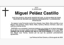Miguel Peláez  Castillo
