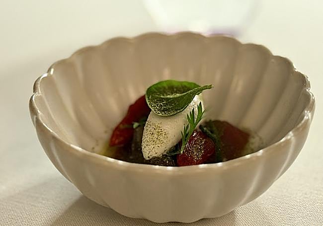 Atún Rojo-Sardinas-Jengibre