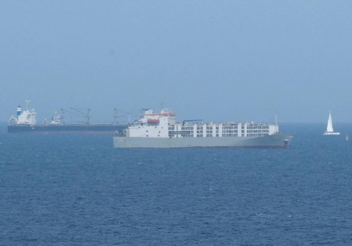 Imagen de archivo de un buque de ganado que recaló en el Puerto de la Luz.