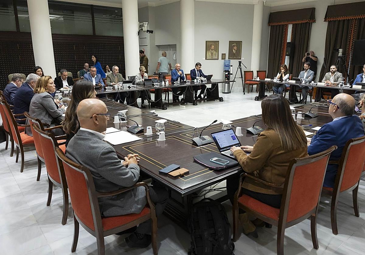 Apoyo al decreto de discapacidad para bajar una lista de espera de 40.000 personas en Canarias