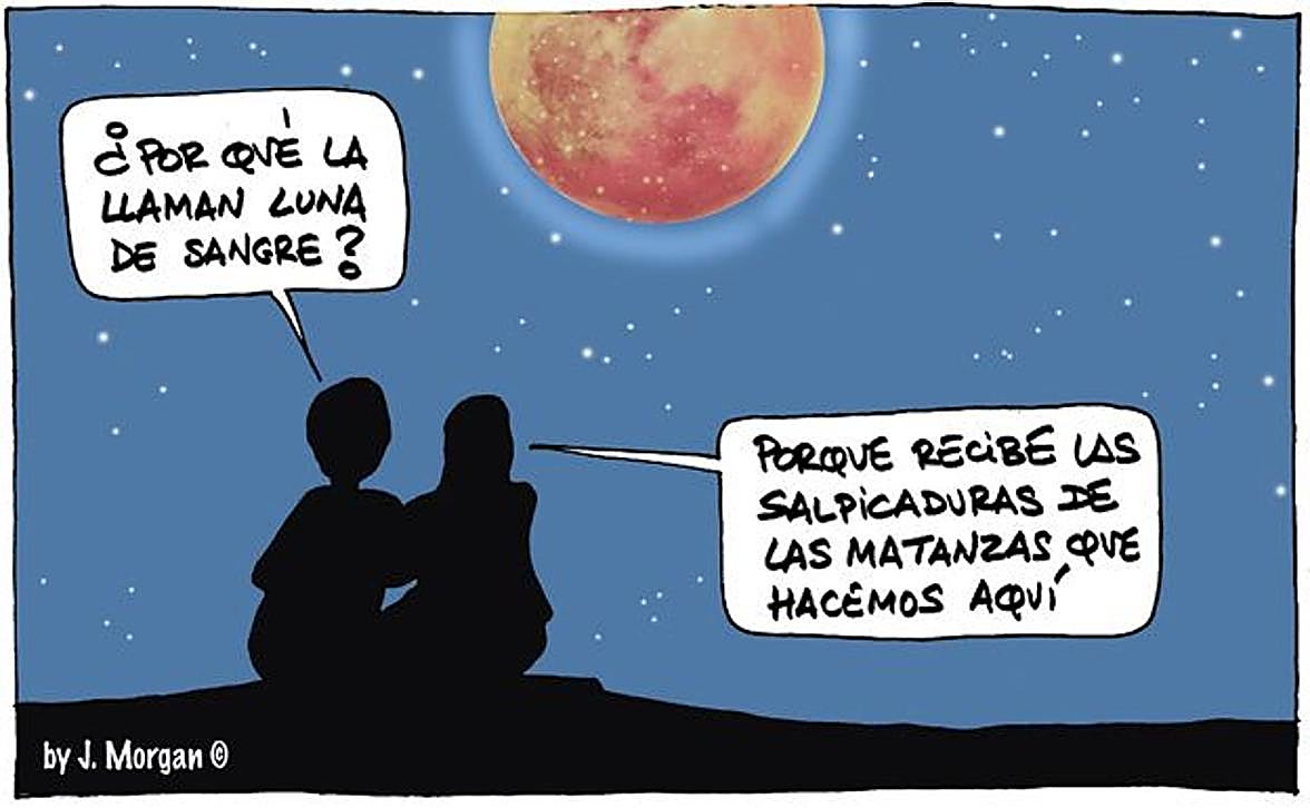 La viñeta de Morgan de este domingo 7 de septiembre