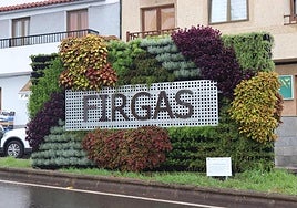 Jardín vertical instalado en la entrada del municipio de Firgas.