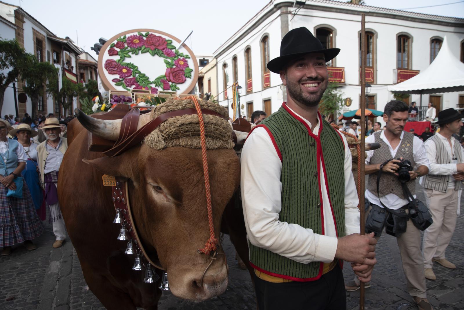 La romería de la Virgen del Pino, en imágenes
