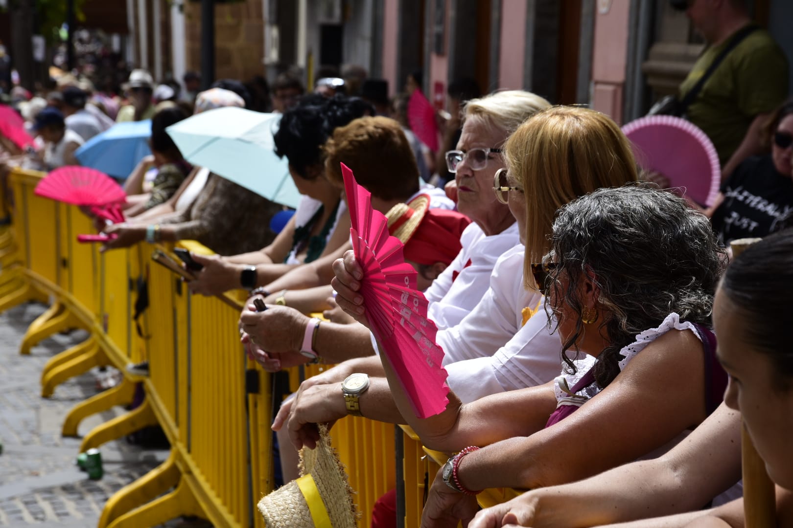 La romería de la Virgen del Pino, en imágenes