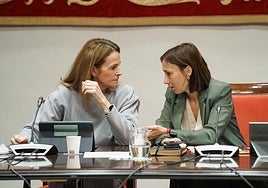 Las diputadas Luz Reverón (PP) y Nira Fierro (PSOE) en una imagen de archivo.