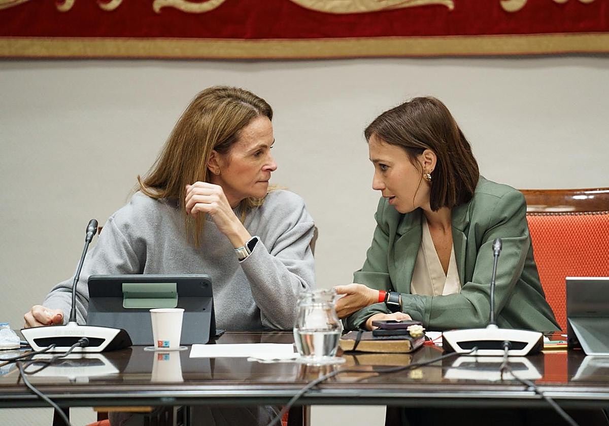 Las diputadas Luz Reverón (PP) y Nira Fierro (PSOE) en una imagen de archivo.