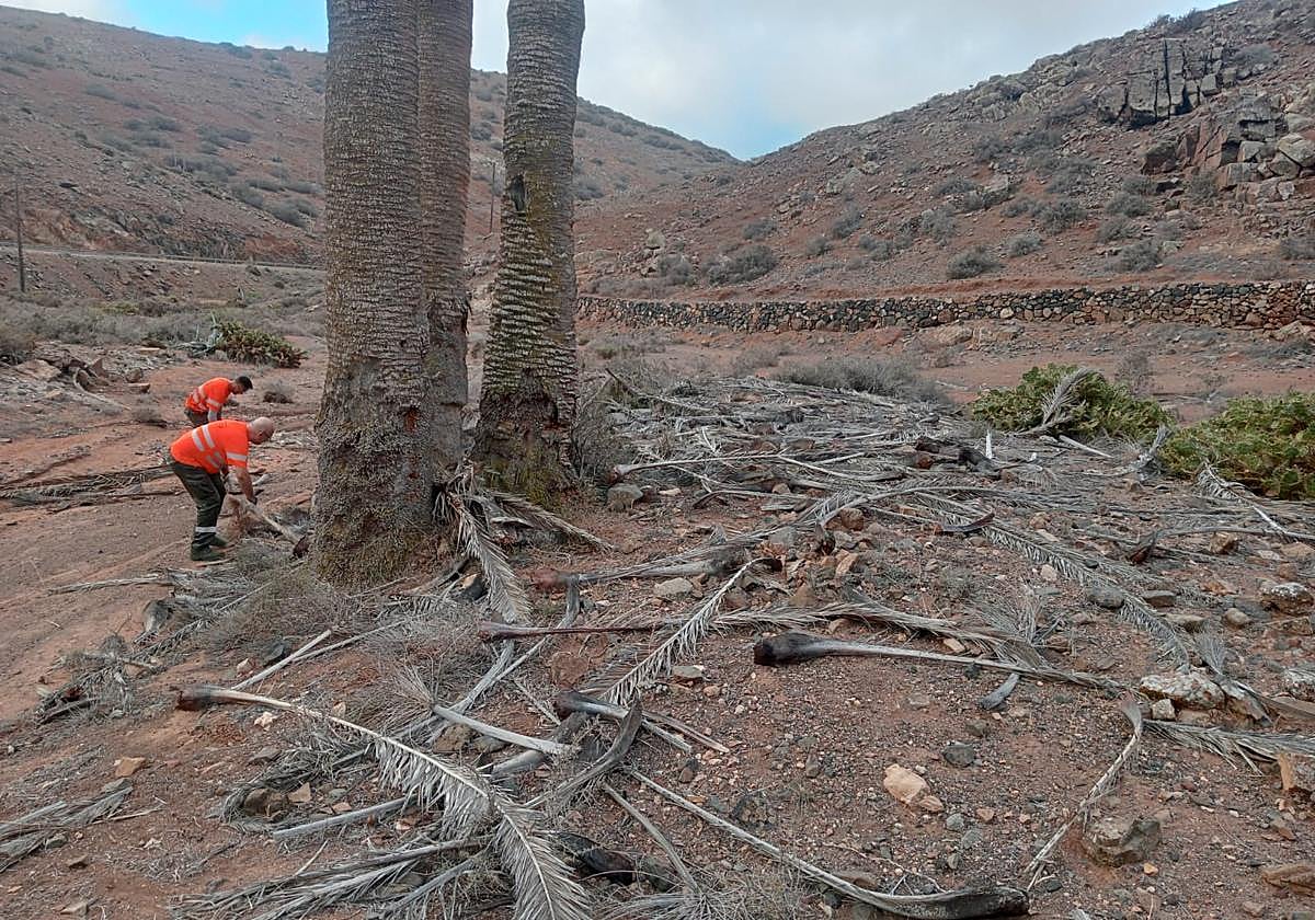 Acondicionamiento de espacio para los caminantes de la semana venidera.