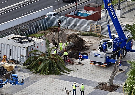 Imagen de archivo de la obra de la MetroGuagua en el parque de Santa Catalina.