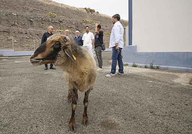 Carmelo, en primer plano. Detrás, la comitiva de cargos públicos y técnicos.