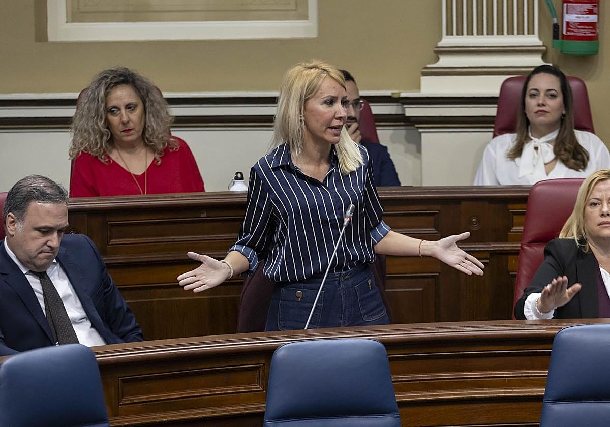 La diputada del grupo Popular Rebeca Paniagua durante una intervención en el pleno del Parlamento de Canarias.