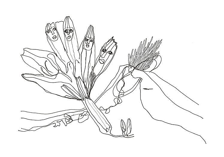 Portada de 'aulagadelpolvorín'.