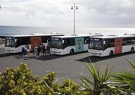 Guaguas interinsulares.