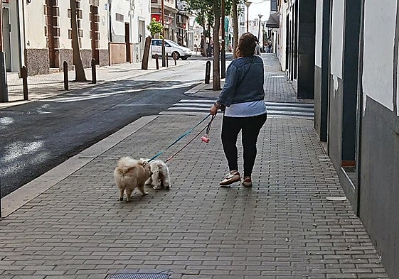 Mascotas de paseo con su dueña, por el centro de Arrecife.
