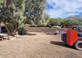 Labores en marcha para mejorar la Estación Biológica, con implicación del Cabildo.