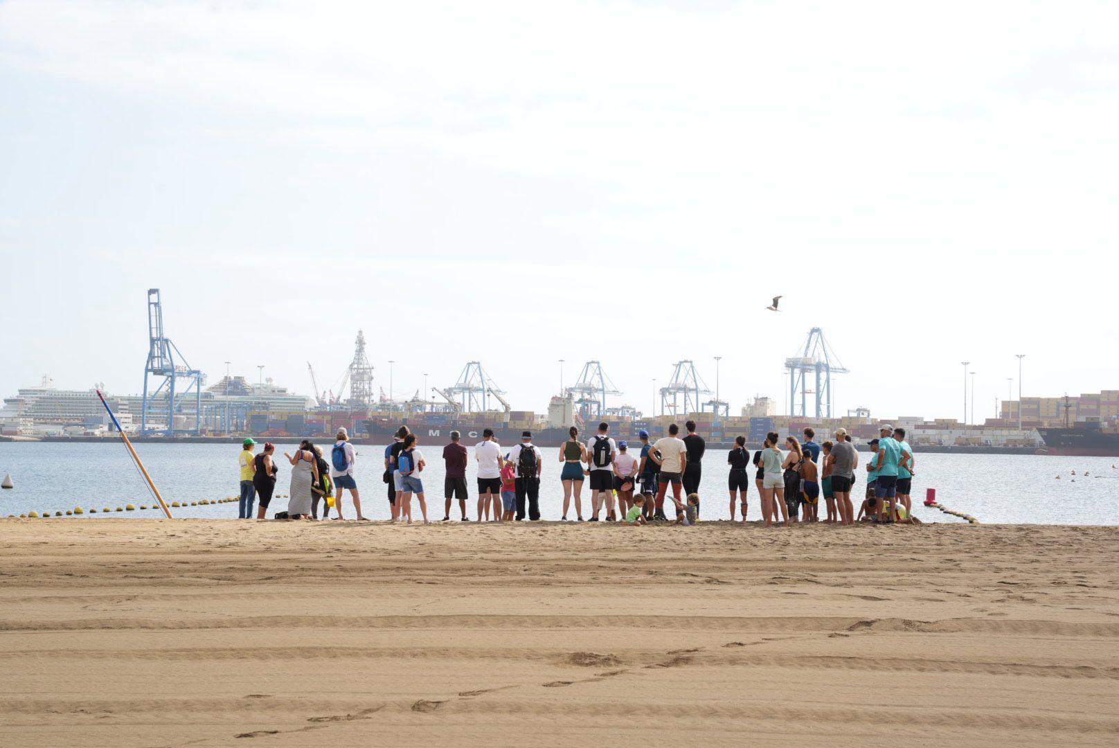 Limpieza de los fondos de la playa de las Alcaravaneras