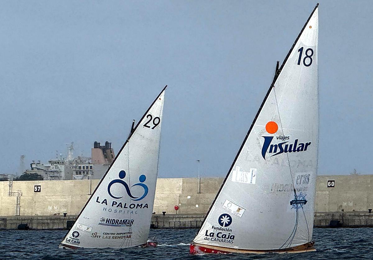Imagen del Hospital La Paloma Pueblo Guanche -campeón-, por delante del Viajes Insular Unión Arenales, que acabó segundo en la prueba.