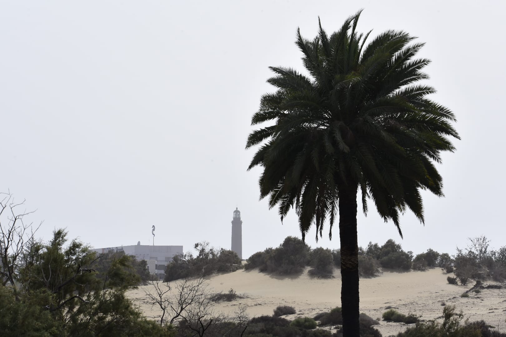Despliegue de seguridad para proteger las dunas de Maspalomas