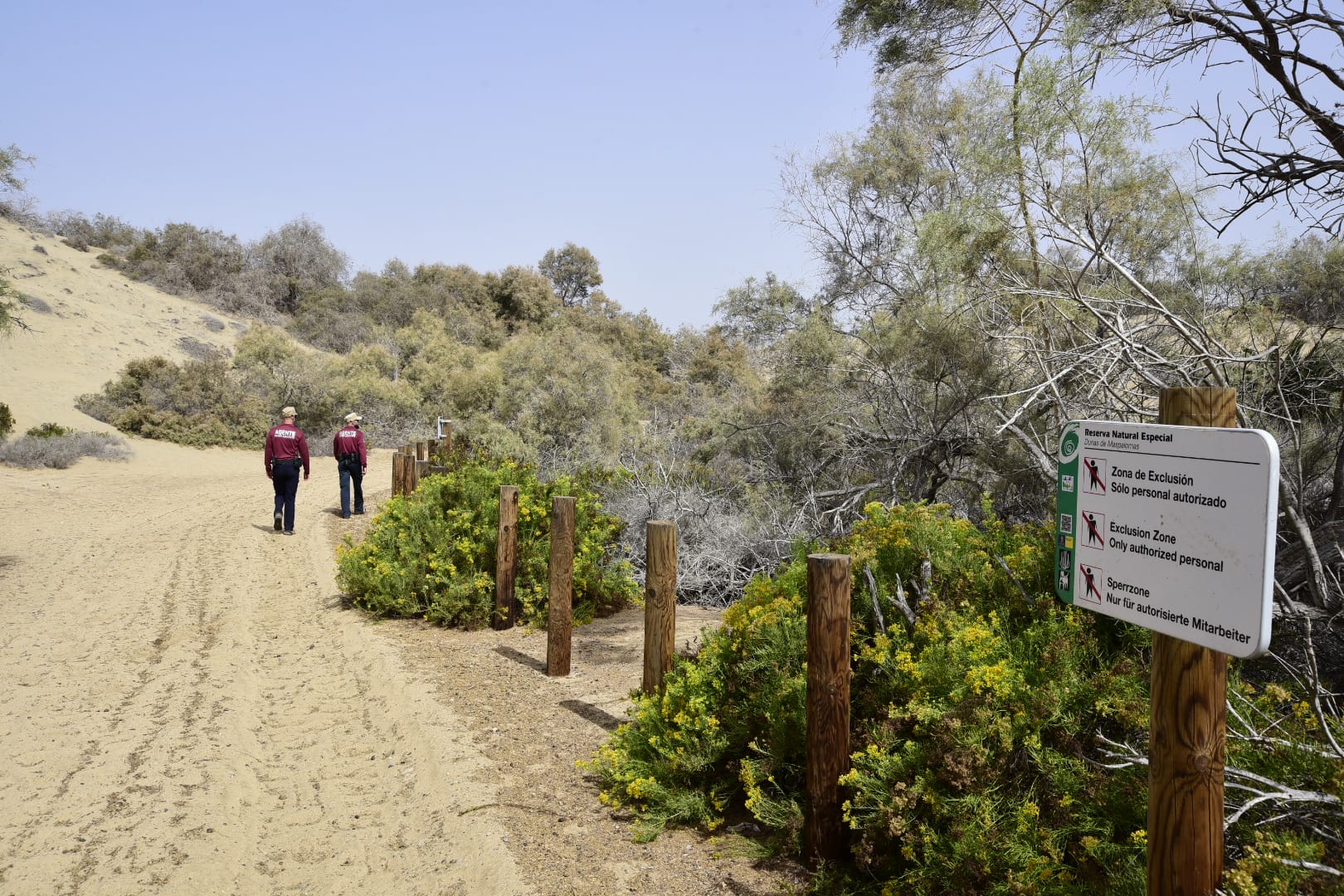 Despliegue de seguridad para proteger las dunas de Maspalomas