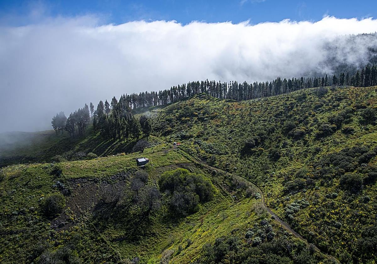 Imagen reciente de la Cumbre de Gran Canaria.