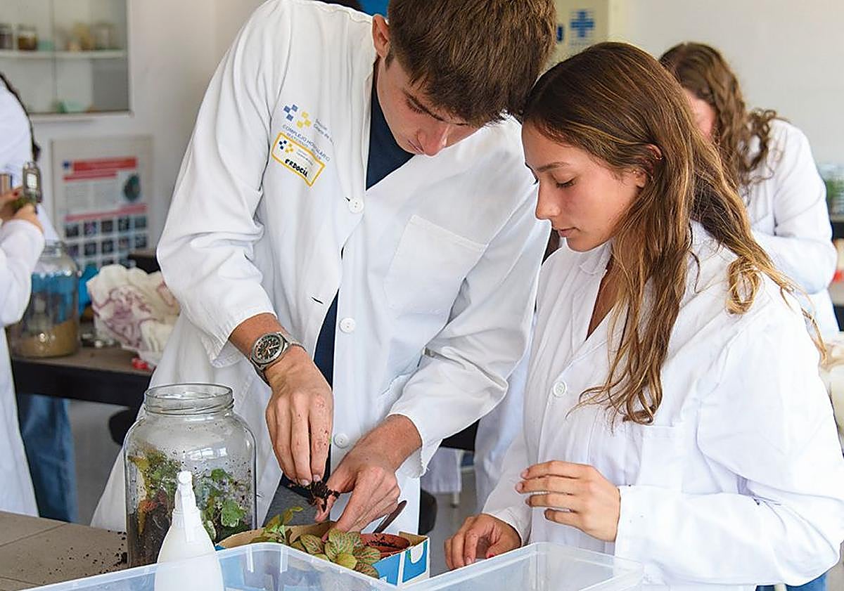 Imagen principal - Colegio Heidelberg, una nueva era