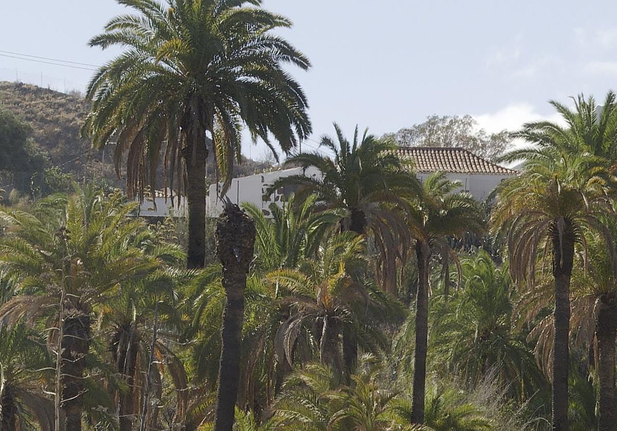 Imagen de la zona afectada por el incendio de este domingo.