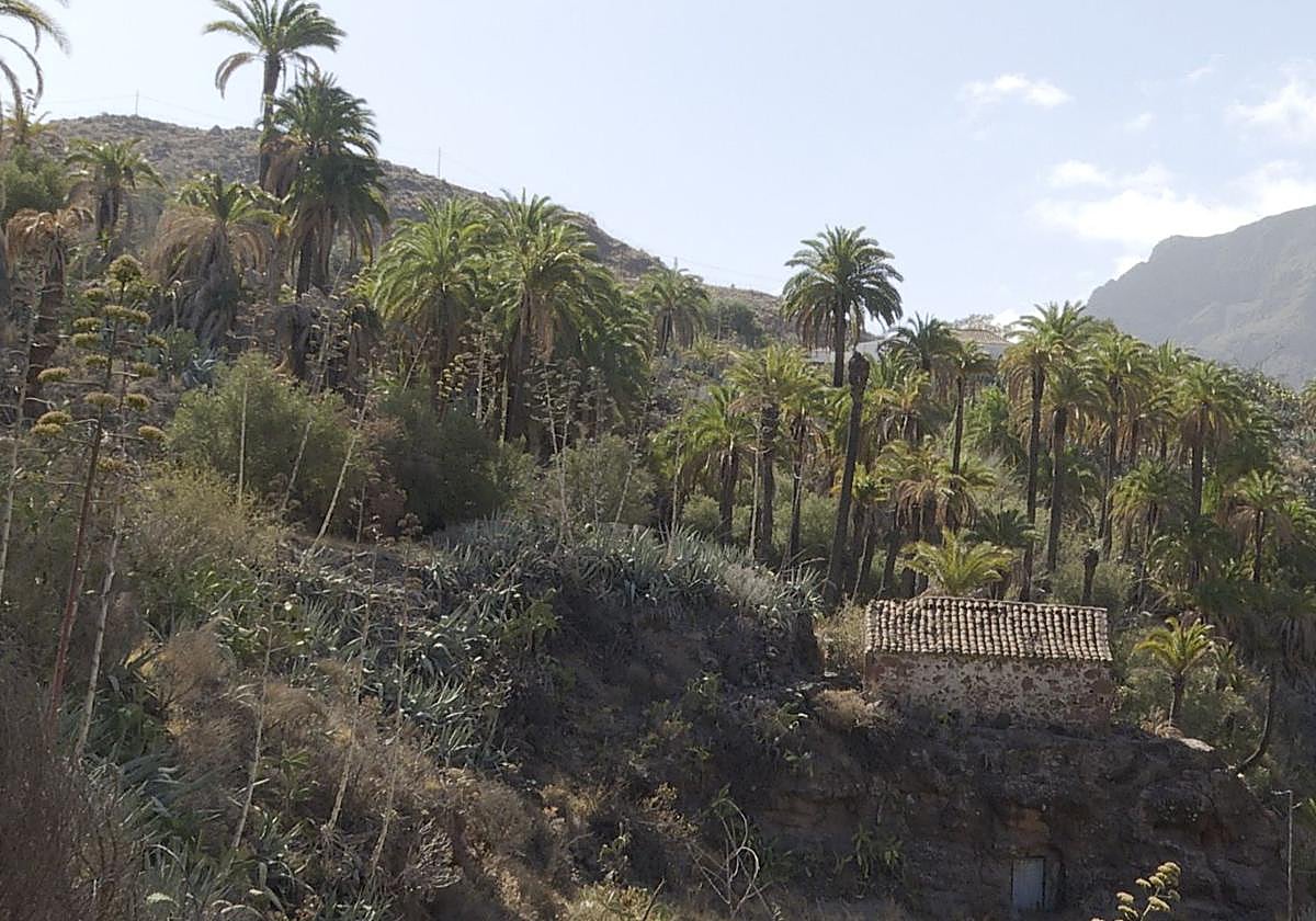 Así estaba este lunes la zona del incendio.