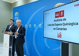 Los socialistas Miguel Ángel Pérez del Pino (iz) y Sebastián Franquis (d) han comparecido este lunes en el Parlamento de Canarias.