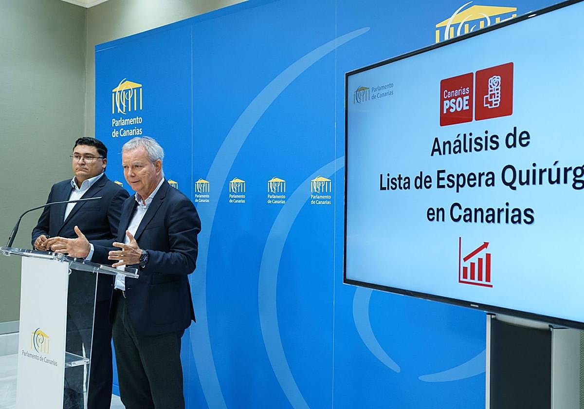 Los socialistas Miguel Ángel Pérez del Pino (iz) y Sebastián Franquis (d) han comparecido este lunes en el Parlamento de Canarias.