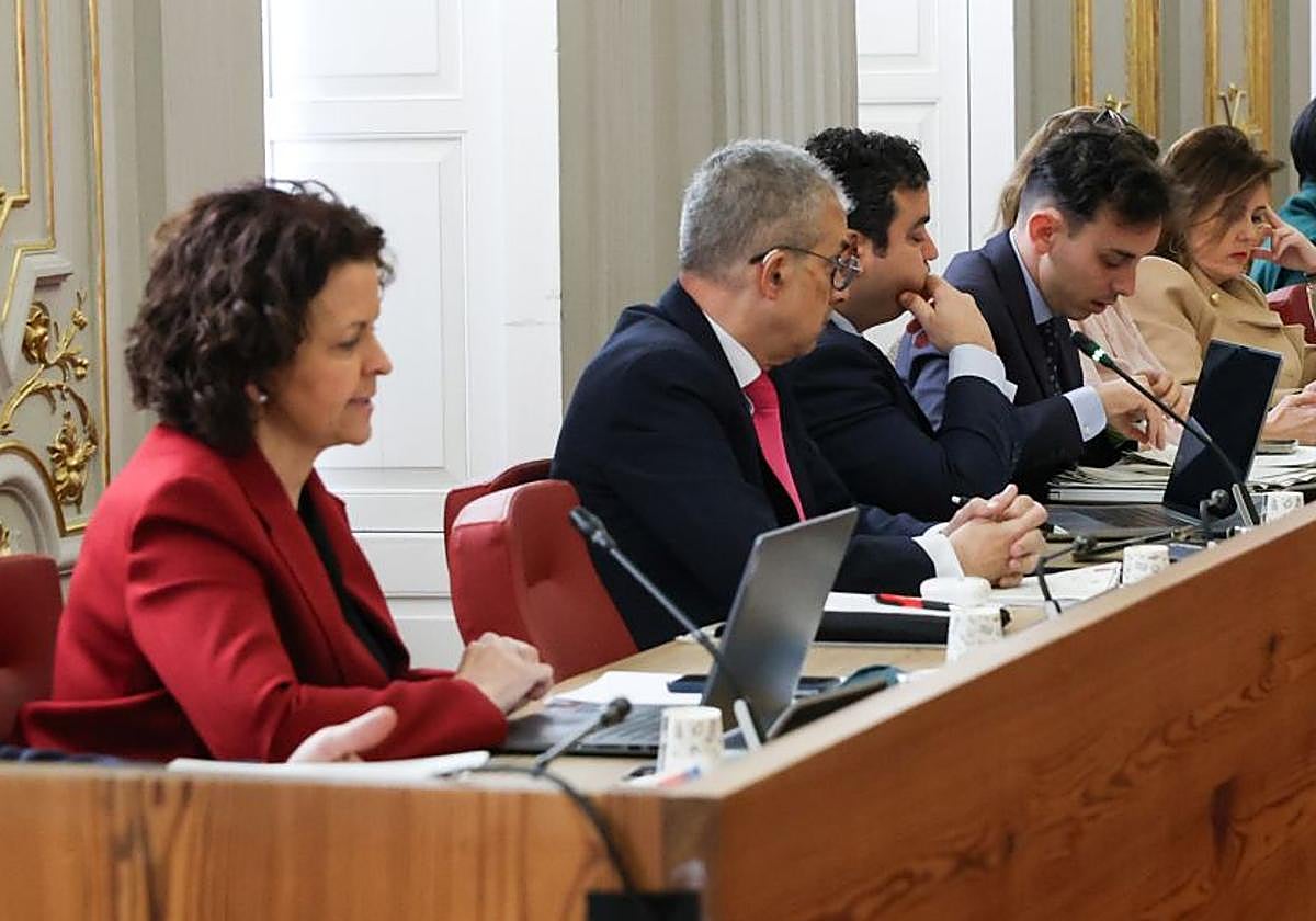 De izquierda a derecha, Carmen Rosa Expósito, Rafael de Juan y Alberto Rodríguez, concejales de Vox en Las Palmas de Gran Canaria.